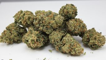 Hazmat OG